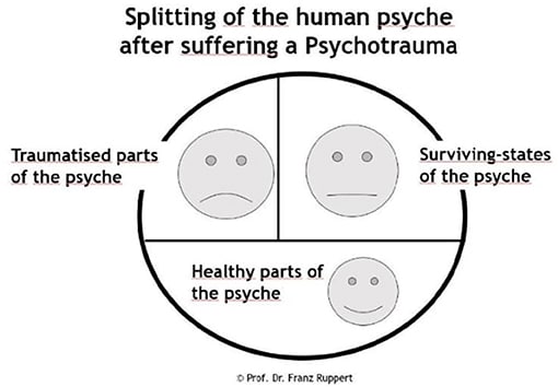 fpsyt-12-526399-g001