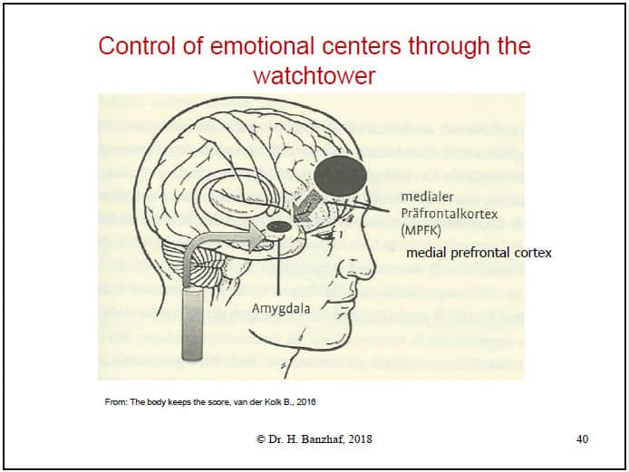 Psychotrauma and Medicine